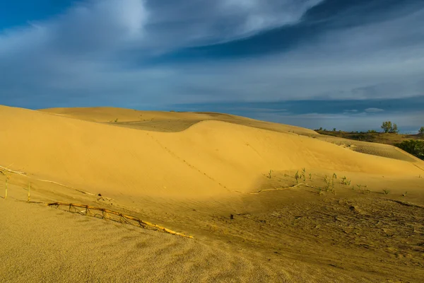 Desierto con dunas . — Foto de Stock