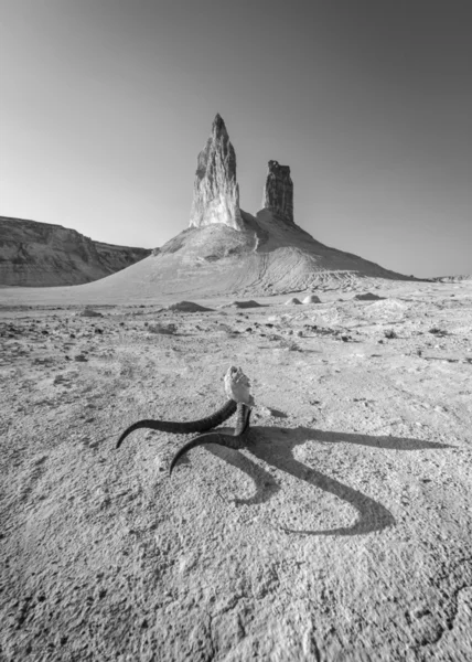 Магия из чистых выходов мела в Казахстане на плато Устюрт в Мангистау с рогами Газели . — стоковое фото