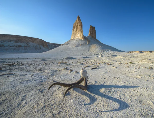 Магия из чистых выходов мела в Казахстане на плато Устюрт в Мангистау . — стоковое фото
