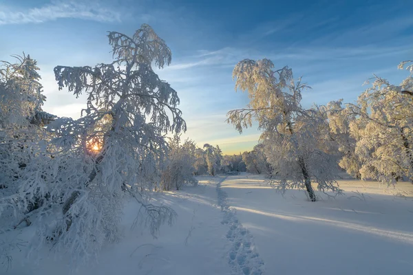 Mañana helada en las montañas de los Urales del sur . —  Fotos de Stock
