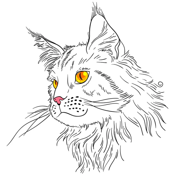 Maine Coon — Stok Vektör