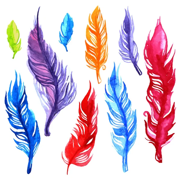 Watercolor feather set — Stock Vector