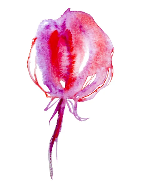 Flor de aquarela — Vetor de Stock