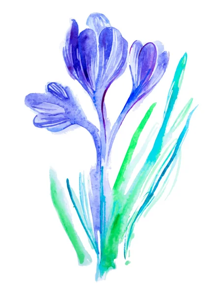 Flor de aquarela — Vetor de Stock