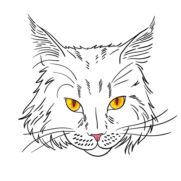 Maine Coon — Stockvektor