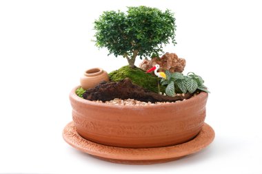 Miniature Garden in a Pot clipart