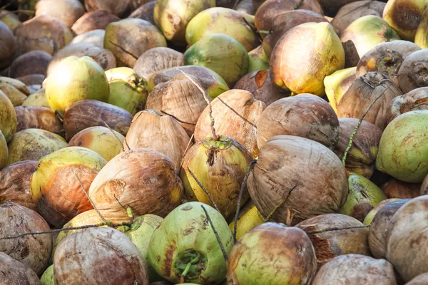 Kupie stare kokosy — Zdjęcie stockowe