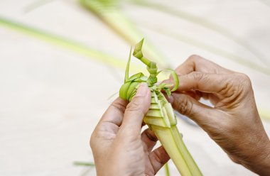 closeup woven coconut leaves clipart