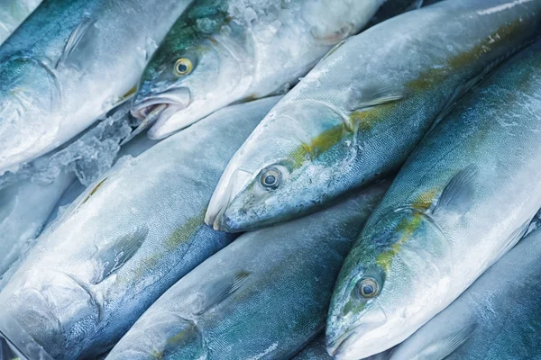 Świeże surowe ryby na rynku żywności morskiej — Zdjęcie stockowe