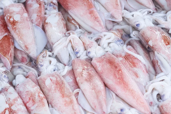 시장에 얼음에 신선한 오징어의 클로즈업 — 스톡 사진