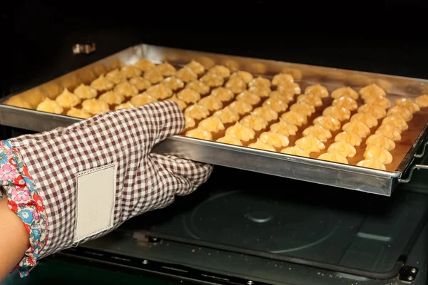 Choux cream in the hot oven — Stock Photo, Image