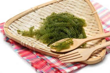 Deniz üzümü (yeşil havyar) deniz yosunu, sağlıklı yiyecek.