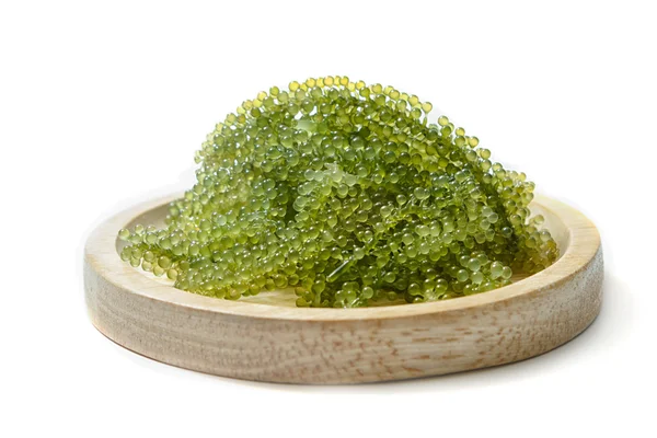 Sea grapes (green caviar ) seaweed, Healthy food. — Stock Photo, Image