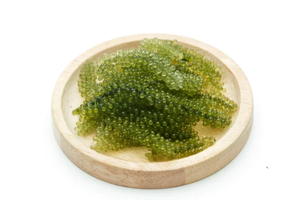 Sea grapes ( green caviar ) seaweed, Healthy food. — Stock Photo, Image