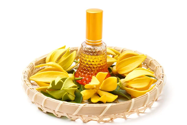 Ätherisches Ylang-Ylang-Öl mit Blüten auf weißem Hintergrund — Stockfoto