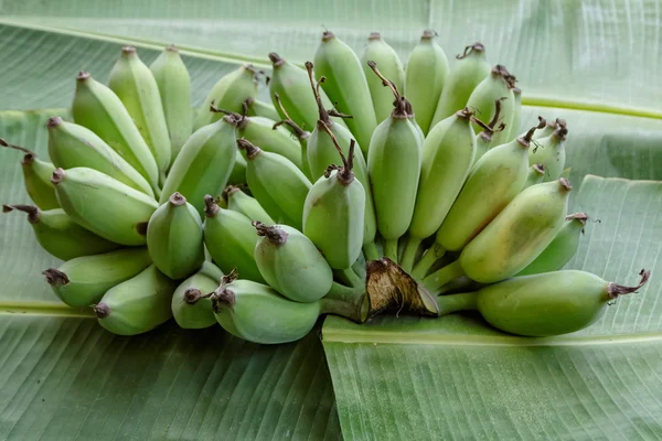 Groep van groene banaan op bananen blad achtergrond — Stockfoto