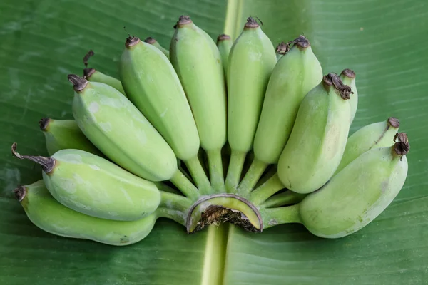 Groene banaan op bananen blad achtergrond — Stockfoto