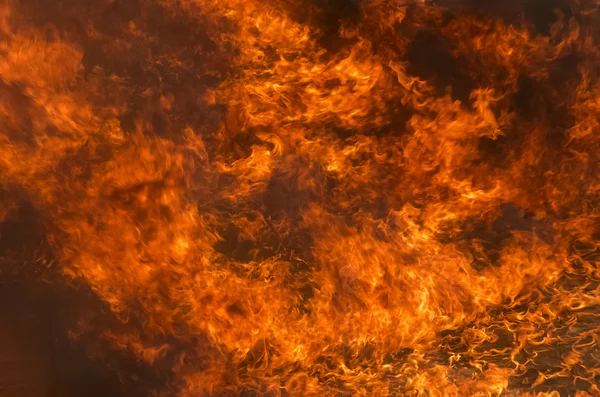 Bloss brand låga konsistens bakgrund — Stockfoto