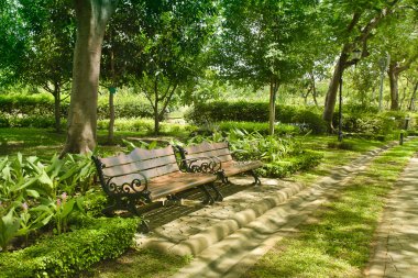 sokakta güneşli bir parkta bir bankta 