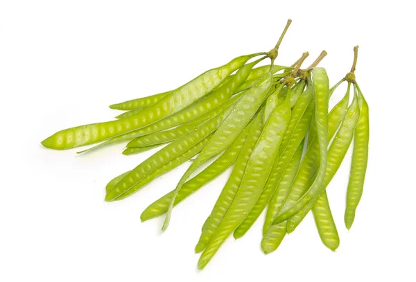 Grüne Samen von Bleibaum oder wilder Tamarinde — Stockfoto