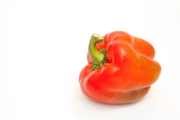 Färgglada paprika — Stockfoto