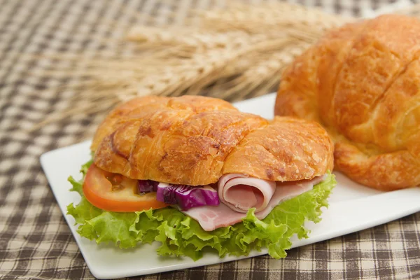 Delicious ham and cheese croissant with salad. — Stock Photo, Image