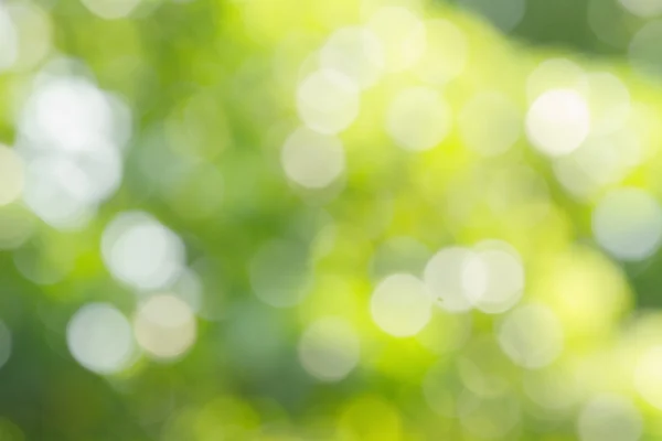 Yeşil bokeh soyut arkaplan — Stok fotoğraf