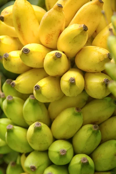 Bos van bananen, achtergrond — Stockfoto