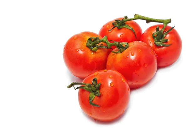 Fresh tomatoes — Stock Photo, Image