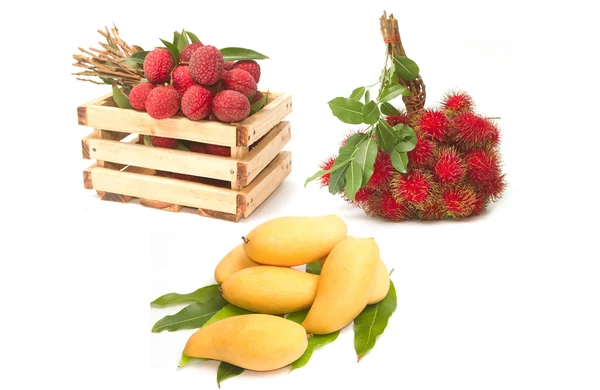 Uppsättning av asiatisk frukt, mango, rambutans och litchiplommon — Stockfoto