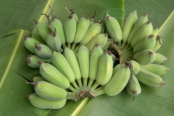 Groene banaan op bananenblad — Stockfoto