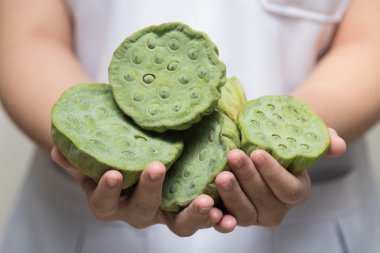 avuç kurutulmuş lotus tohumları