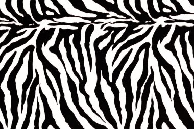  Zebra deri desen arka planı için