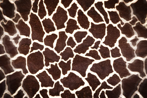Giraffe skin pattern as background — Stock Photo, Image