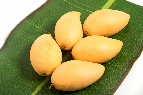 Golden Mango fruit on banana leaf — Stock Photo, Image