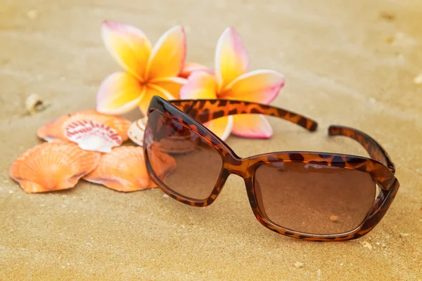 Солнечные очки, ракушки на песчаном пляже — стоковое фото