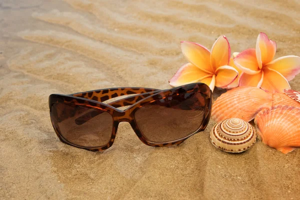 Солнечные очки, ракушки на песчаном пляже — стоковое фото