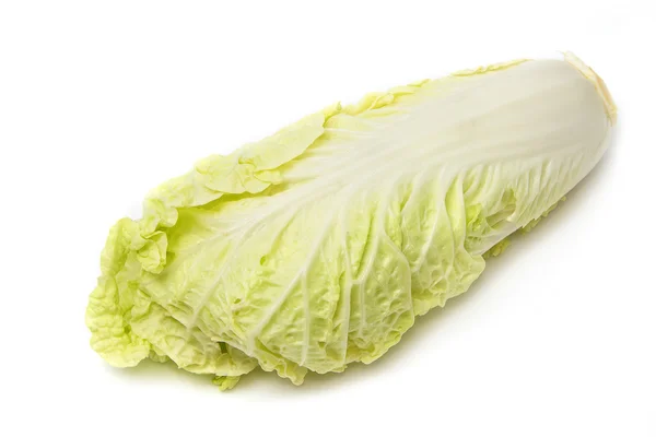 Beyaz izole taze napa (Çince) lahana — Stok fotoğraf
