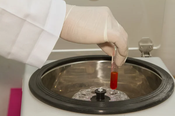 Asistente de laboratorio trabajando con centrifugadora electrónica de sangre en Fotos De Stock