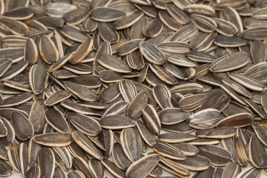 Ayçekirdeği arka planı