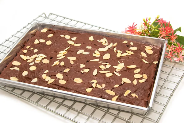 Brownie fresco en bandeja — Foto de Stock