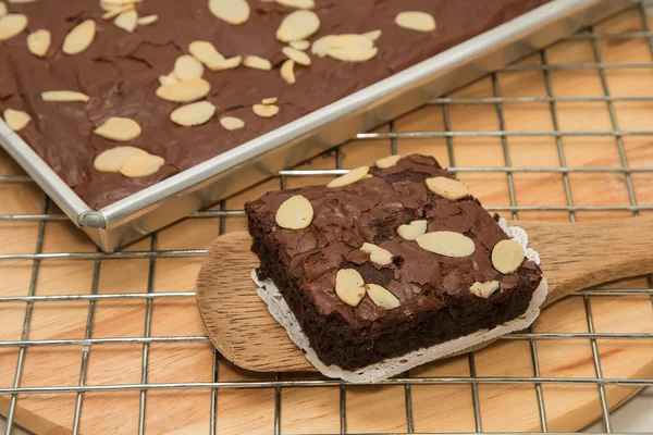 Deliciosos brownies de chocolate — Foto de Stock