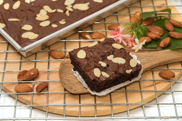 Deliciosos brownies de chocolate con semillas de almendras — Foto de Stock