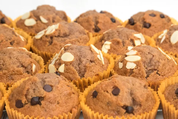 Fresh Banana cup cake (select focus) — Stock Photo, Image