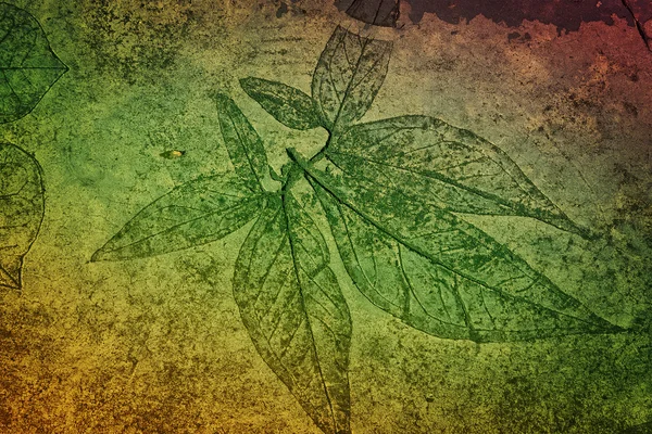 Leaf print on concrete texture and background — Stock Photo, Image
