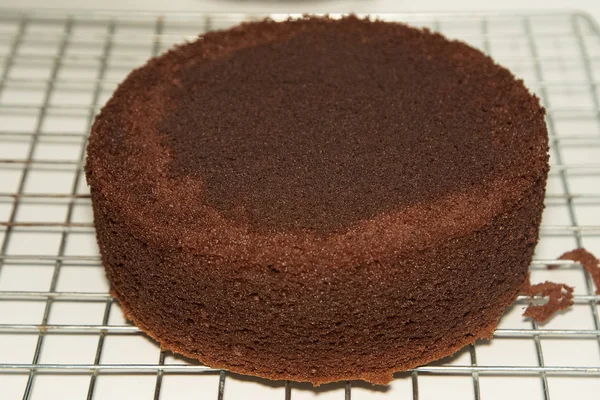 Çikolatalı kek yapımı, çikolata kek katman — Stok fotoğraf