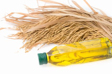 Rice bran oil in bottle glass with rice paddy on white clipart