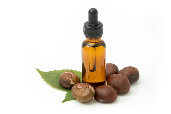 Organic cosmetics from chestnut oil — Stock Photo, Image