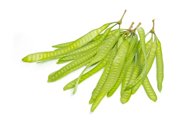 Grüner Samen weißer Popinac, Bleibaum oder wilde Tamarinde isoliert auf — Stockfoto