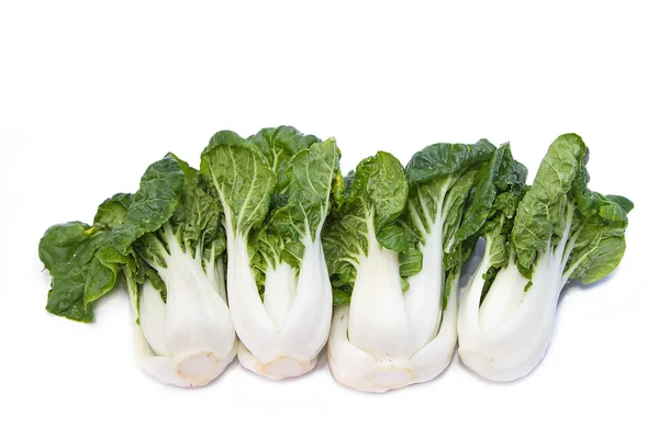 Bambino pak choi su sfondo di legno bianco — Foto Stock